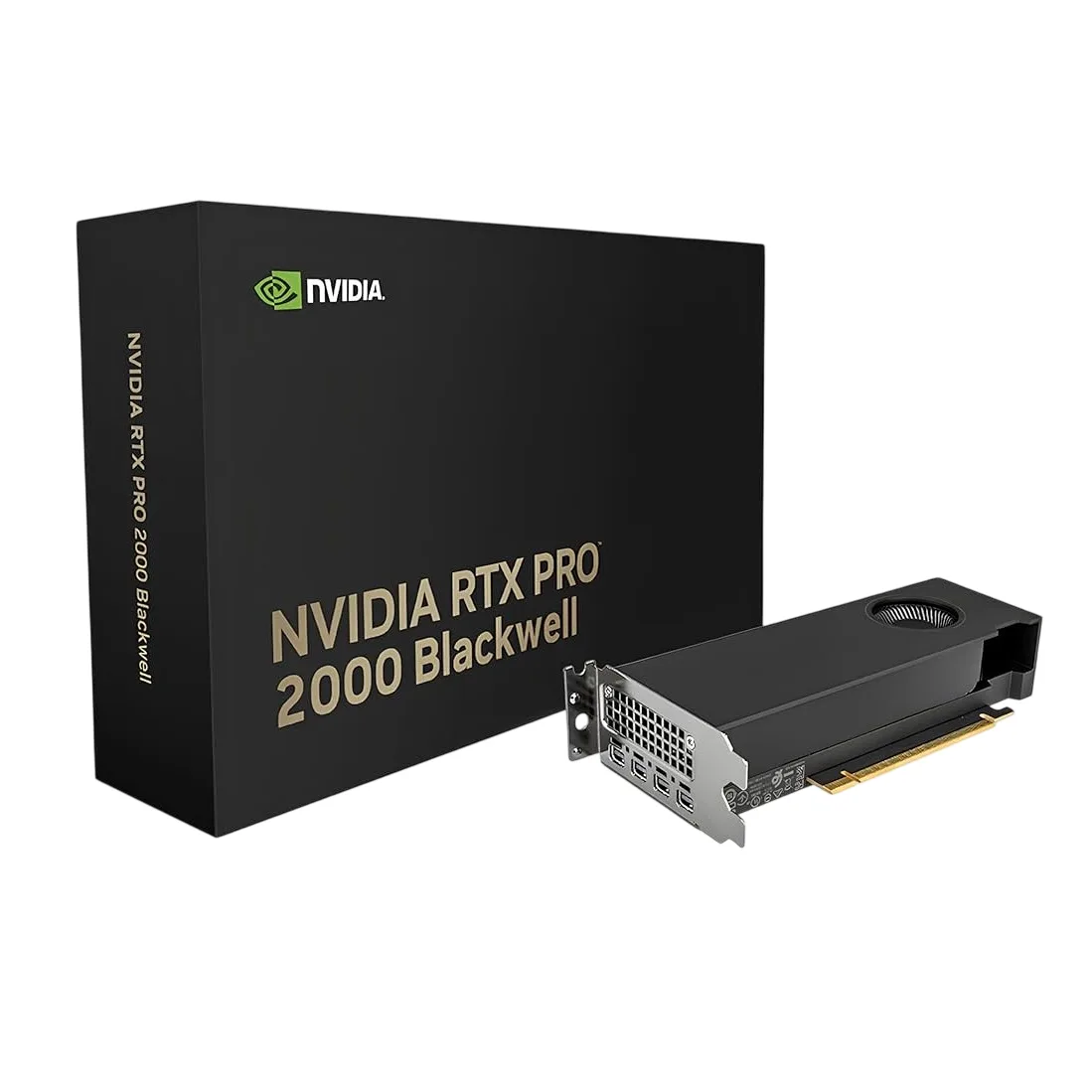 vga pny quadro rtx pro 2000 Blackwell 16Gb GDDR7 4x Mini Display Port